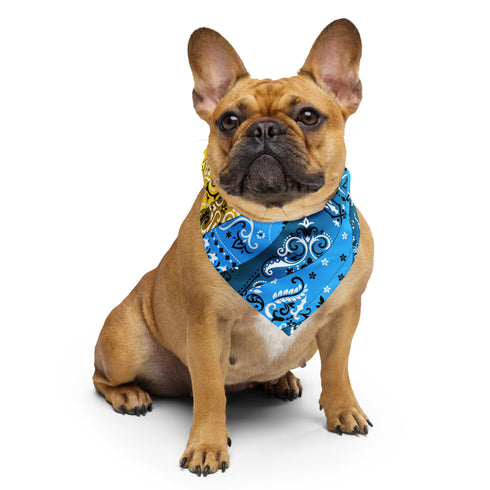Pansexual Pride Waves Bandana